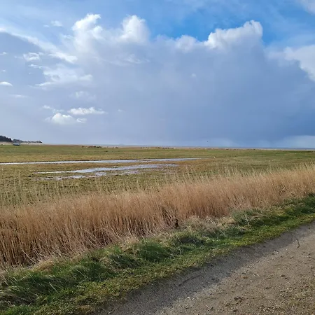 Torben's Hues Borgsum