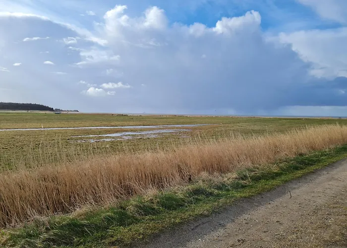 Torben's Hues Borgsum